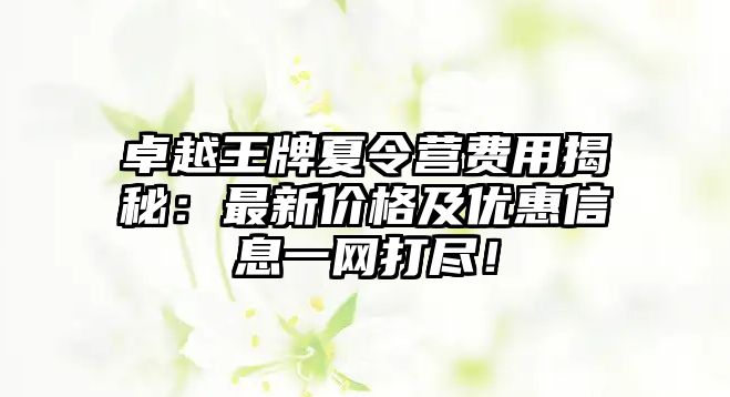 卓越王牌夏令營(yíng)費(fèi)用揭秘：最新價(jià)格及優(yōu)惠信息一網(wǎng)打盡！